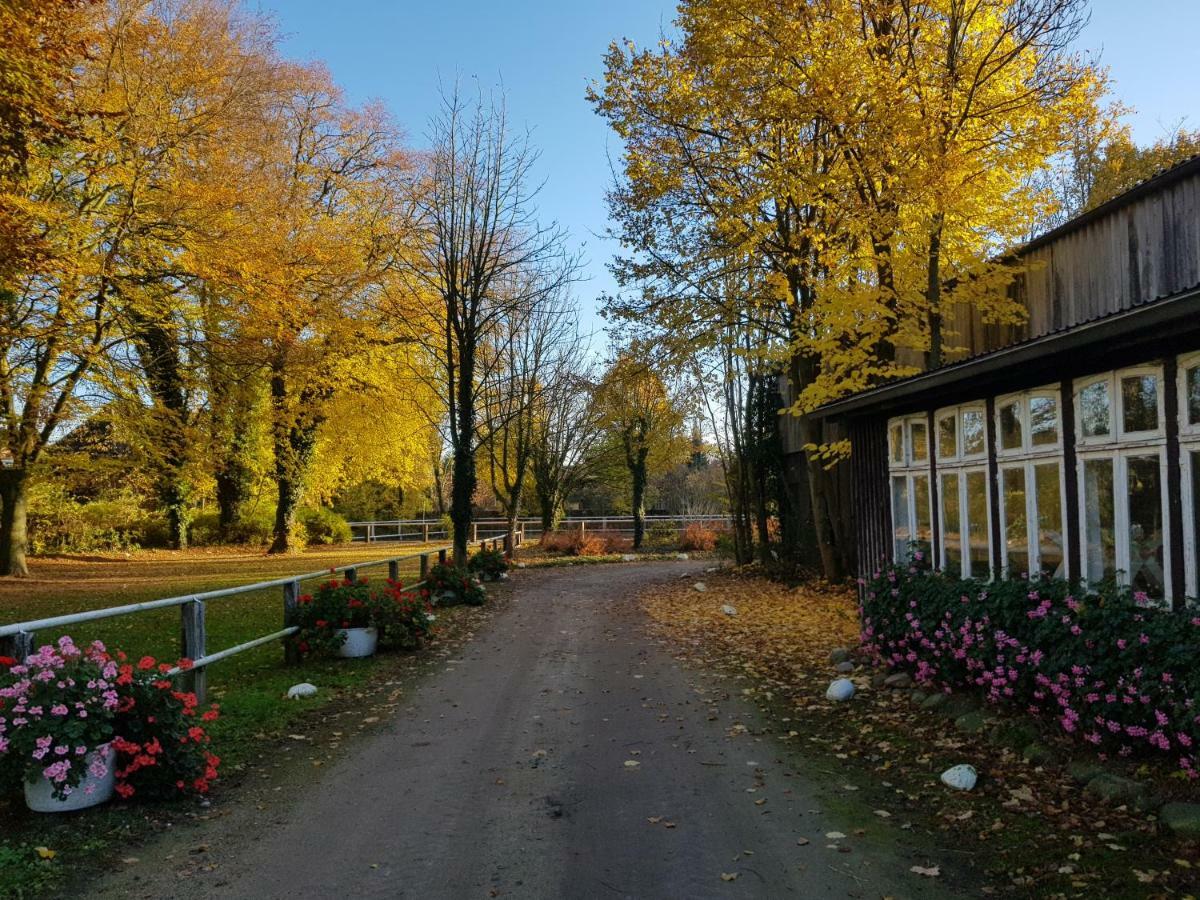 Grosse, Helle Ferienwohnung Mit 2 Balkonen Auf Dem Bauernhof In Der Lueneburger Heide Oetzen Exteriör bild