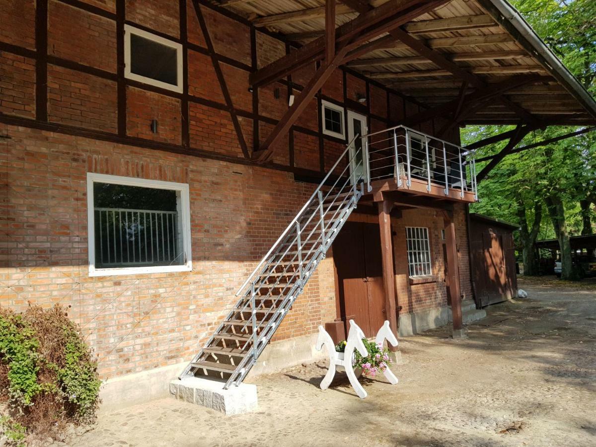 Grosse, Helle Ferienwohnung Mit 2 Balkonen Auf Dem Bauernhof In Der Lueneburger Heide Oetzen Exteriör bild